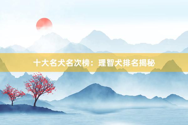 十大名犬名次榜:理智犬排名揭秘