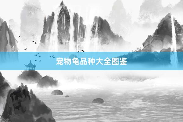 宠物龟品种大全图鉴