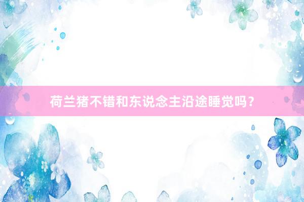 荷兰猪不错和东说念主沿途睡觉吗？
